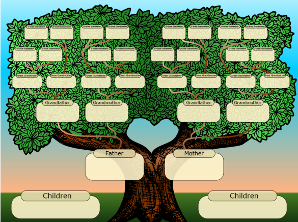 family tree, commonsensedad.com